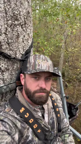 Windy morning in that great outdoors! #whitetailhunter #Outdoors #hunting #archery #november #wildlife #venison 