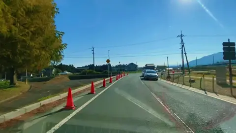 Cũng đường đẹp nhất shiga dài khoảng 2km #shiga #autumn #hduong2547 