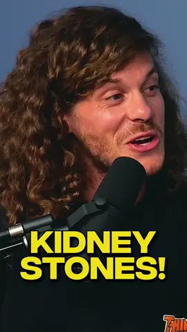 #kidneystones #fyp #blakeanderson #workaholics #whiskeygingerpodcast 