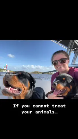 Service announcement🤷🏼‍♀️ #dogsoftiktok #PetsOfTikTok #rottweilersoftiktok #YellowstoneTV 