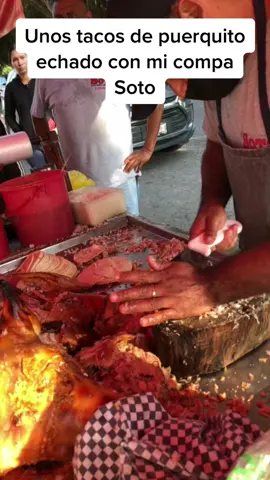 Tacos de puerquito estilo Acaponeta, Nayarit 🌮 #tacos #comida #puerquito #parati #viral #fy #fyp #foryou #Foodie #foryoupage 