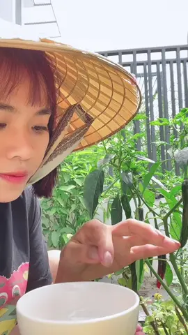 Ớt chấm muối ớt có tôm gọi là “muối ớt Tôm”🤣🤣