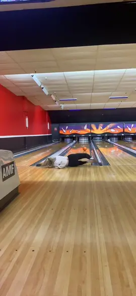 Ball is life #bowlingtiktok #fyp #falldown #funny #foryoupage #falling #saturdaynight 