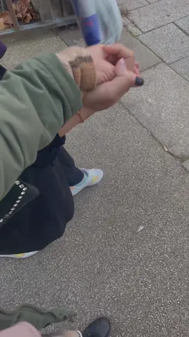 #ليوم كان احلى مشوار انا واختي وبنت حماي كتير نبسطنا 😅😅😂👌#جمعة_خوات #لمسات_فوفو🌸💛 #يوميات_فوفو🌸💛 #