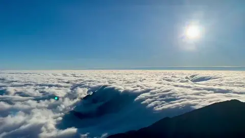 Tà Chì Nhù (Trạm Tấu, Yên Bái) vào mùa săn mây đẹp nhất trong năm ☁️ (Video: Tiến Thắng) #phuot #dulich #fyb #yenbai 