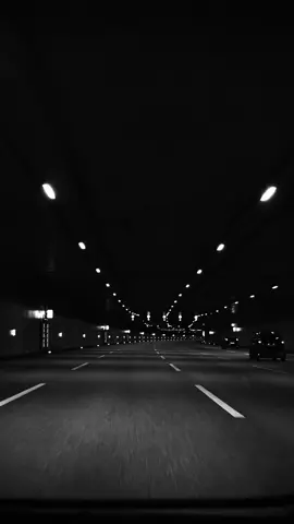 🌃 #highway #night #drive #blackandwhite #trafficlights #cars #driver #nightime #city #cruising #driving #travel #vehicles #ride 