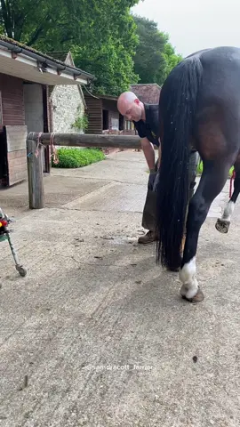 #samdracottfarrier #oddlysatisfying #asmr #LearnOnTikTok #satisfying #horsesoftiktok #uk #horsetok #farmtok #horseriding 
