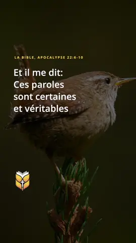La Bible. Apocalypse 22:6-10 