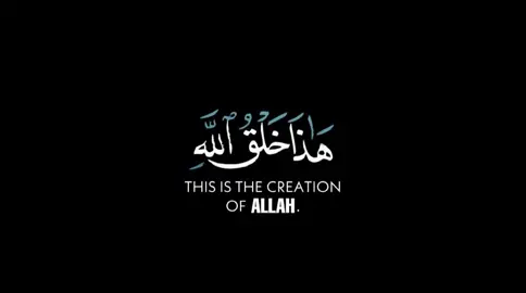 - هذا خلق الله قارئ : محمد هشام حسن #قرآن #قران_كريم #قران #شاشه_سوداء #لايك #كومينت #quranblack 