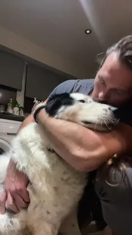 Taras ❤️ #tornjack #Love #mustlovedogs #cuddles #kisses