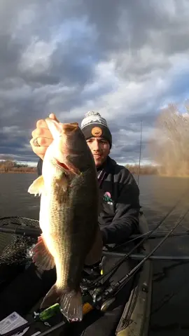 CATCHIN NOVEMEBER BASS IN THE COLD #bassfishing #largemouthbass #fishing #fishtok #candycrush10 #dinkfest #fyp 