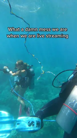 A little behind the scenes of our love streams for you 😆 we miss you all and can’t wait to kick the flu and be back in the water! #scuba #livestream #ocean #funny #fyp #mess #myjob 