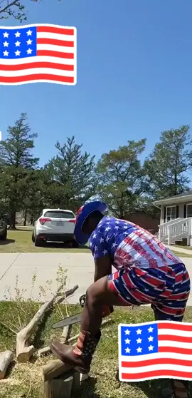 #treework #arborist #funny #america #merica 