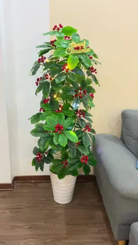 Nhanh quá lại sắp đến giáng sinh rồi. Lên đồ cho em cây kim ngân lượng (cây giả) trông lung linh hẳn ạ #trending #xuhuongtiktok #caygia #caygiadecor #trangtrinha #trangtrigiangsinh #giangsinh 