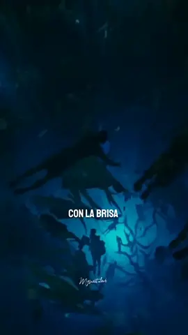 Con la brisa🌬 #conlabrisa #wakanda #wakandaforever #foudeqush #ludwiggoransson #blackpanther #blackpanther2 #blackpantherwakandaforever #blackpantherforever #blackpantheredit #wakandaforeversoundtrack #blackpanthersoundtrack #soundtrack #chadwickboseman #chadwickbosemanrip #fyp #subespañol #fypシ #letrasdecanciones #song #lyrics #2022 