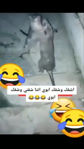 😂#😂#😂#😂#😂#😂#😂#😂#😂#😂#😂##😂😂😂 #🥲🖤😂✋، 