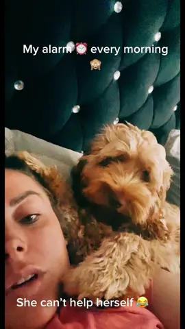 Some puppy love 💗 she can’t help herself 😂#candycrush10 #dog #puppy #cockapoo #cockapoosoftiktoks #cockapoolove #fy #fyp #fypシ #viral #funny 