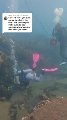 Replying to @mxteach show @karawithkindness some love for all her hard work 🥰🥰🥰 great Q by the way! 