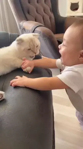 This is #cute, 😍 but not gonna lie this scares the heck out of me! 😟🤣 #cat #lovely #baby #catsandbabies #cutebaby #playful
