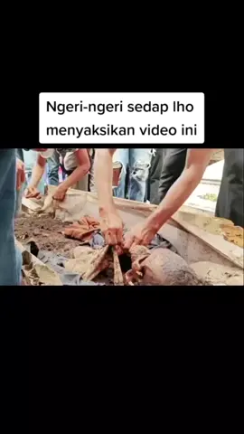 Mangongkal holi adalah sebuah tradisi membongkar kembali tulang-belulang dan menempatkannya kembali ke suatu tempat, tepatnya di sebuah tugu. Mangongkal holi adalah salah satu kekayaan kebudayaan masyarakat Batak Toba yang hingga saat ini masih dilestarikan.   #tradisibatak #bataktoba #batakhits #exploresumut #pnpadventure #batak #budayabatak #wonderfulsumut 