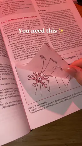 Für alle Schüler oder Studenten super praktisch 🤞🏼 #fy #BookTok #studytok #notesaesthetic #fürdich 