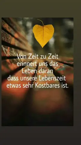 #Seelen_Frau #seele #soul #gedanken #zitate #bilderspruch #sprüche #fyp #foryou #viral #viralvideo #tiktok #zeit #kostbar #lebenszeit #❤ #🍀 #⚓ #liebe #Love #live #Love #du #you 