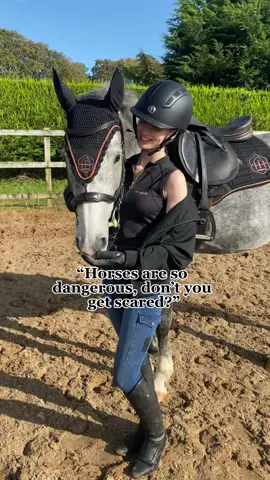 he really said I’ll teach you to handle anything #horse #horsetok #horsesoftiktok #horsebackriding #equestrian #equestrianlife #candycrush10 #equestriansoftiktok #equestrianstyle #equestrianvibes #horsegirl #horseriding #equine #eq #fyp #horsesontiktok 