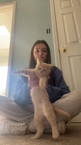 Gibby was feeling it