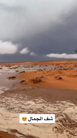 هاذا الجووو 👌🏻 #اكسبلورexplore #امطار #الاجواء_الحلوة #الربيع #الابل #الشتاء #صور #تصميم 