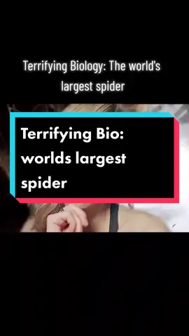 #greenscreen #tpn #terrifyingposts #terrifyingbio #spiders #goliathspider 