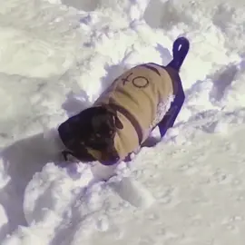 Otto!! #jerma #jerma985 #jerma985edit #jermaedit #fyp 