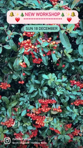 🔔✨🎄Spaces for my new FESTIVE FLOW workshop at Studi07, Bookham are bookable now via https://www.studi07.space/ ! 🎄✨🔔  #treatyourself #festiveflow #vinyasa #yoga #SelfCare #christmas #bookham #surrey 