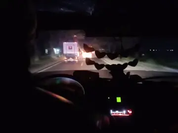 😊🙏 🚛🚛💨#trukmaniaindonesia #lintasjatimtrans #NikmatiKenangannya #tiktok #fypシ 