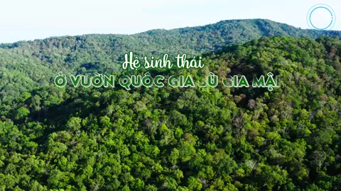 Hệ sinh thái Vườn quốc gia Bù Gia Mập