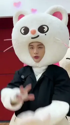 현진 SKZOO FanCam (221006❤︎@Stray Kids onTikTok) #straykids #hyunjin #스트레이키즈 #현진 #ヒョンジン #CASE143 