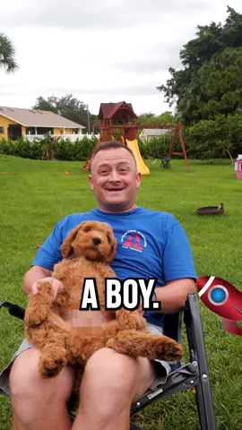 Max’s Gender Reveal Party! #dog #dogsofinstagram #dogs #puppy #dogstagram #doglover #instadog #dogoftheday #doglife #Love #doglovers #pet #cute #puppylove #pets #puppiesofinstagram #instagram #puppies #doggo #dogsofinsta #cat #petsofinstagram #ilovemydog #of #dogphotography #doglove #animals #hund #petstagram #fyp #dogsoftiktok 