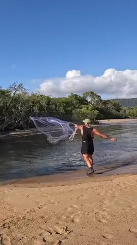 My first time catching a barramundi in a cast net  #barramundi #castnet  