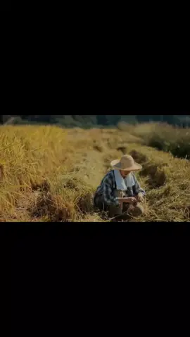 vì vid này hợp nhạc quá nên phải đăng lại. hihi #vềquê #binhyen #conuongcuacau #girls #foryou #đồngquê #giọtsương #mỹtâm #chill 