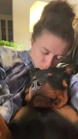 Kai’s a cuddler 💗#dogsoftiktok #rottweilersoftiktok #PetsOfTikTok #cuddlebuddy 