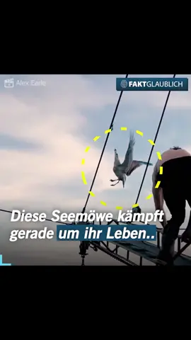 Eine gute Tat für den Tag ❤️ #fakt #faktglaublich