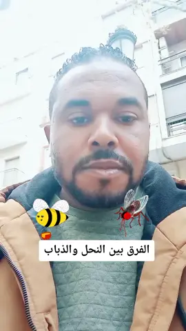 الفرق بين ان تعيش مثل النحل او تعيش مثل الذباب#tiktok #ناس_القبيلة #pyf #followers #follower #blackjaguar58 #pageforyou #pyfツ #españa🇪🇸marruecos🇲🇦 #viral #تيك_توك #mood 
