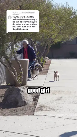 Replying to @user1284758959696 My Only Competition Is Myself ❤️