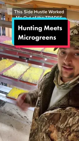 #microgreens #startyourownbusiness #sidehustle #supplementalincome #howtostartabusiness #microgreensfarmer #growyourownfood #wintergarden #indoorgarden #indoorgardening #indoorgardeningtips #vegtablegarden #vegtablegardening #vegtablegardentips #seedstarting #sprouts #quityourjob #blohmtreezy #growingfruition #NorthFreshFarm #indoorgrowing #indoorgrowinglights #wintercrop #farmersmarket #farmersoftiktok #preppertok #shtfprepper #homestead #homesteading #homesteadingtiktok #homesteaders #nutrition #nutrientdense #micronutrients #saladsoftiktok #saladrecipe #freshproduce 