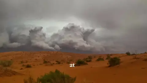 مزون الوسم تبارك الله 🤍.                                         #اكسبلور #حايل #النفود_الكبير #حايلندا #امطار_حايل #explore #foryou #fyp 