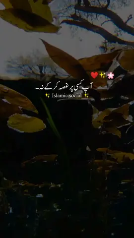 Mazaq Urana 🥀 #ajmalrazaqadri #saqibrazamustafai #tariqjameel #tariqmasood #islamic_video 