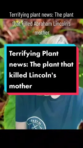 #greenscreen #tpn #terrifyingplantnews #terrifyingplants #plantsoftiktok #plantok #botany 