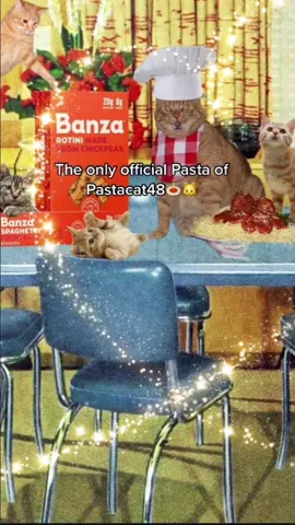 @eatbanza, the official pasta of pastacat48🍝🐈 #trending #cat #banzapartner 