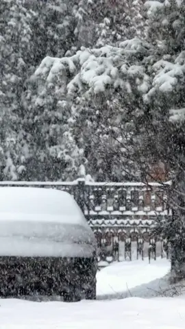 ❄️ 🌨️ 🗻#snowstorm #snowblizzard #soothingsounds #sleepingsound #soothingsoundforsoul 
