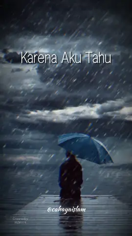 Allah memberikan yang kita butuhkan bukan yang kita mau . motivasi bagkit ketika terpuruk . #motivasi  #motivasiislam #bangkit #hidayah #kataustadz 