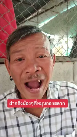 กิ๋นเข้าหื้อมันอิ่มๆ จะได้มีแฮงหมุน #สลากกินแบ่งรัฐบาล #ลุงชัยอ้ายเสม #อ้ายเสมลุงชัย #ลุงชัยลาวา #อ้ายเสม 